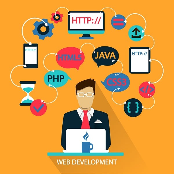 Web Design Services